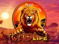Wild Life Slot – Embark on a Thrilling African Safari